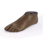 Pied SACH 2.0, adulte